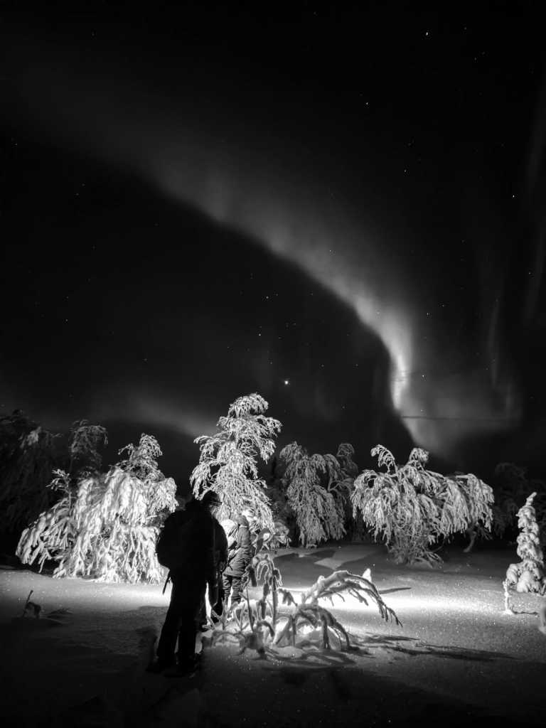 Sweden - Lannavaara - Wild North Expedition Above The Arctic Circle - Snowmobiling, Northern Lights & Dog Sledding - 1
