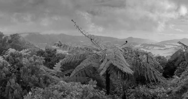 Portugal - São Miguel - Azores - WaterWellness, OceanLife & Volcanic treasures - 2