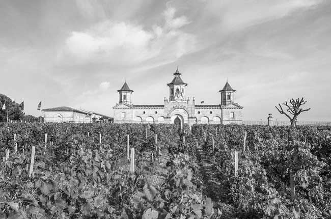 France - Wine tasting in the South of France - JoinMyTrip