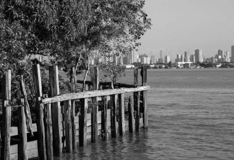 Brazil - Ilha do Cumb - Unique Co-Working Experience in the Metropolis of the Amazon Rainforest! - 3