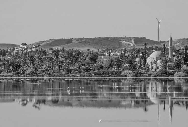 Cyprus - Larnaca - A Cyprus Adventure with Locals: Natural History and Unforgettable Views - 1