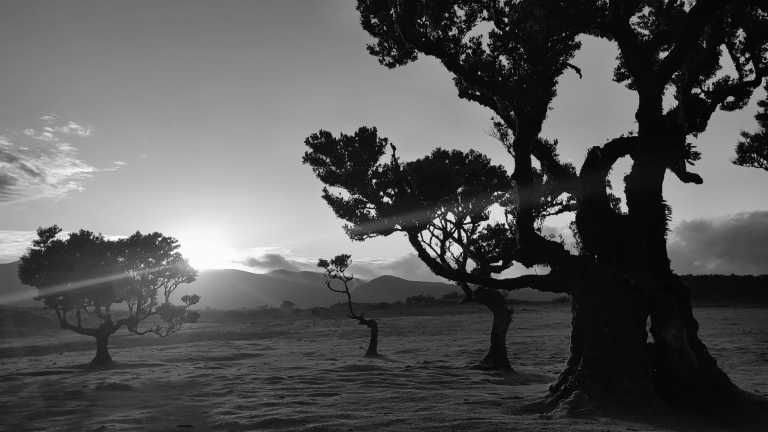 Portugal - 🏄🏽‍♀️Surf, Yoga & Hiking trip in beautiful island of Madeira, Portugal 🏝️ - JoinMyTrip