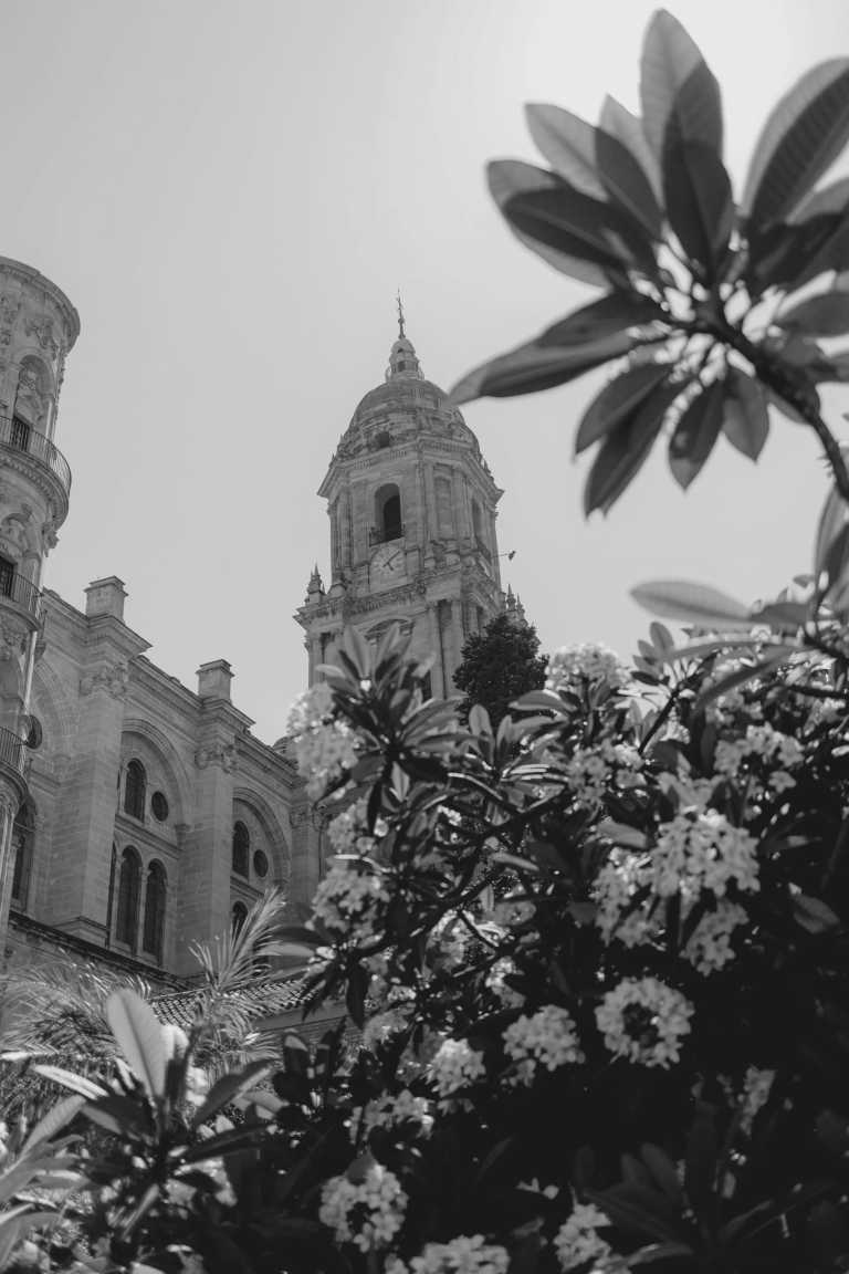Spain - Málaga - Dynamic Trip in sunny Málaga: Flamenco, Hiking, Spanish Tapas, Yoga and Bachata! 💃✨🌅 - 4