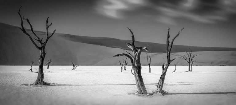 Namibia - Deadvlei - Namibia : Road Trip Safari Adventure