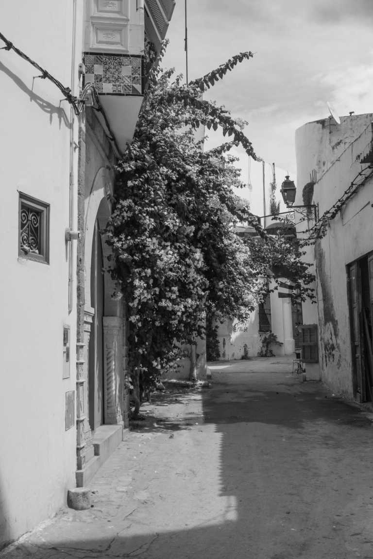 Tunisia - Médina - Female Only Tunisia Trip: A Colorful Adventure to Explore! 🌴🌊✨ - 1