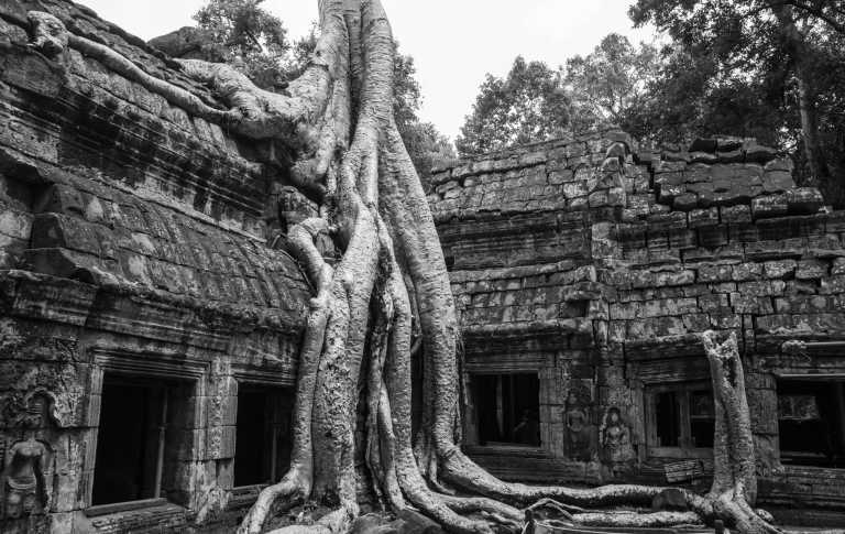 South-eastern Asia - 🇰🇭 Kambodscha - Budget Backpacking Trip durch Kambodscha incl. Angkor Wat 🏯 Pfefferplantagen 🌿 & Inselwelten 🌅 - JoinMyTrip