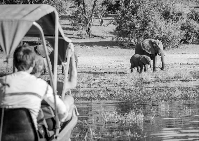 Sub-Saharan Africa - Discover the Enchanting Okavango Delta and Beyond: A Thrilling Botswana Adventure in Sub-Saharan Africa - JoinMyTrip