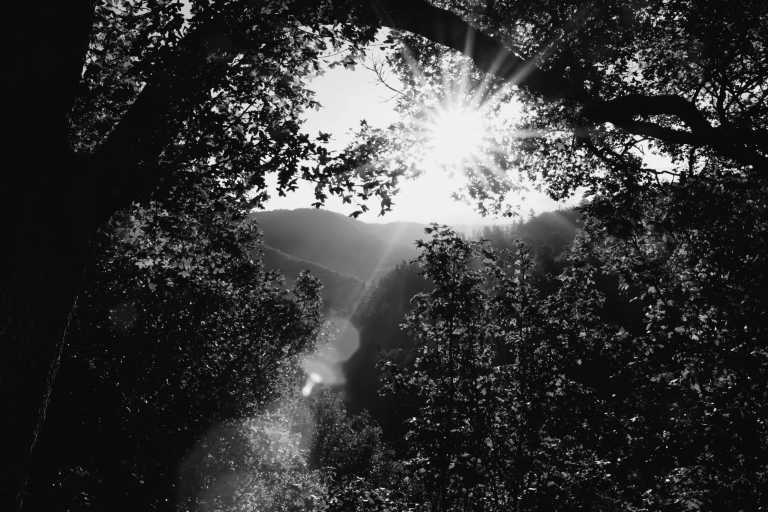 Germany - Wanderzeit im Harz mit Brocken-Tour, Deutschland - JoinMyTrip