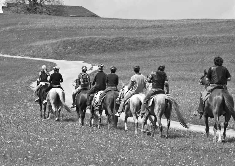 Rumänien - Reiten & Thai Yoga Massage - eine Pferdereise durch Rumänien - JoinMyTrip