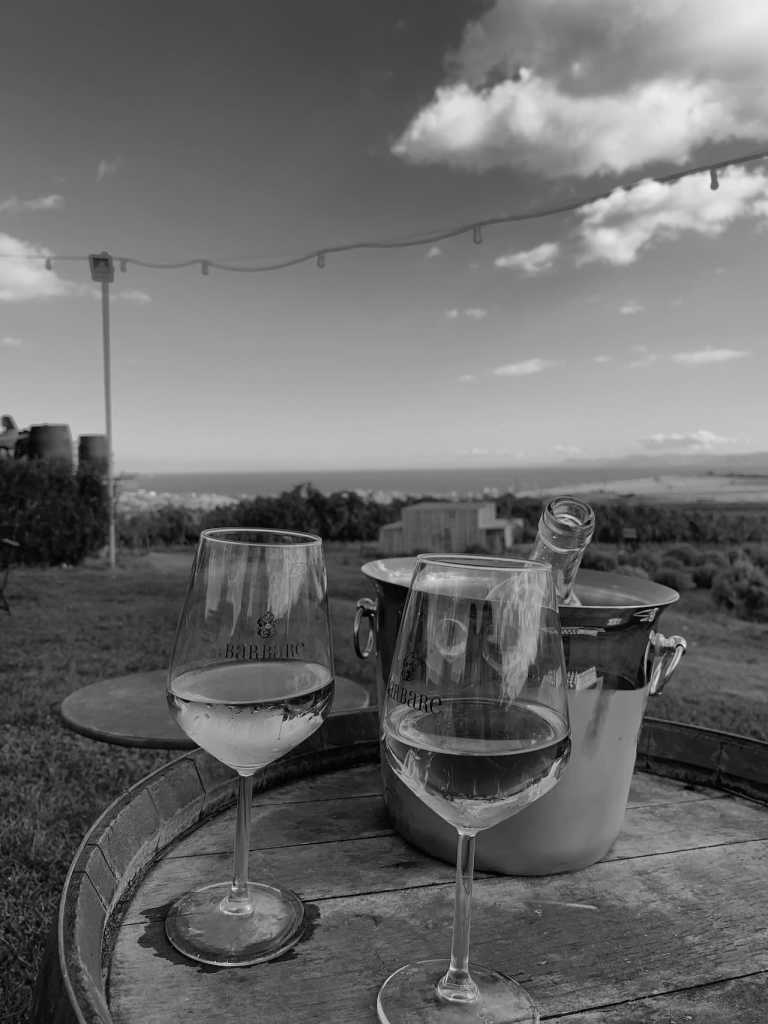 Mexico - Baja California - Work Remotely from the Baja California, Mexico Wine Route - 3