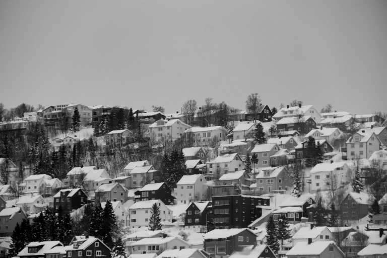 Norway - Tromsø - Northern Lights and Arctic Wonders: Winter Expedition in Norway - 2