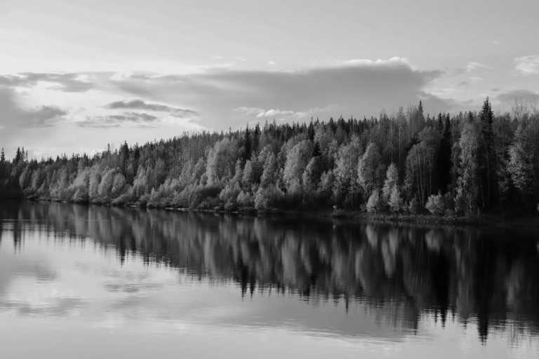 Finland - Pello - Northern Lights Wellness Retreat: A Magical Journey of Connection in Lapland, Finland - 2