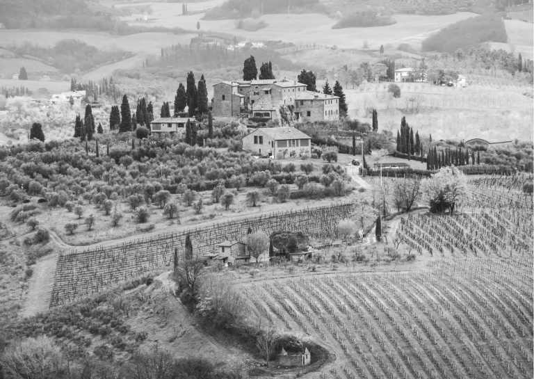 Italy - 5 Day Winetrip Through the Vinyards of Tuscany, Italy! - JoinMyTrip