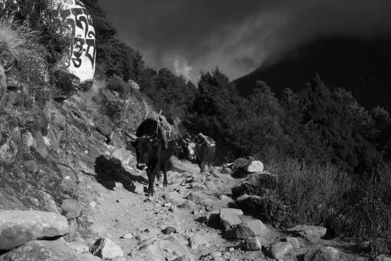 Nepal - Phakding - Everest Base Camp Trekking - mit deutsch- und englischsprachigem Reiseleiter - 2