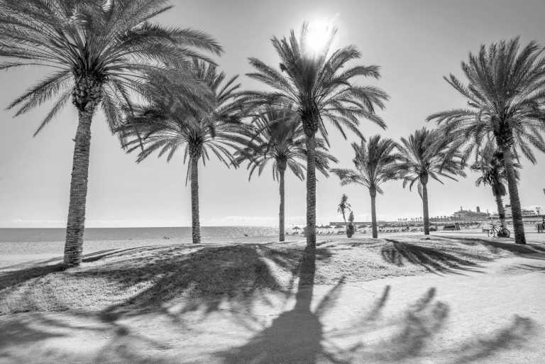 Spain - Málaga - Dynamic Trip in sunny Málaga: Flamenco, Hiking, Spanish Tapas, Yoga and Bachata! 💃✨🌅 - 1
