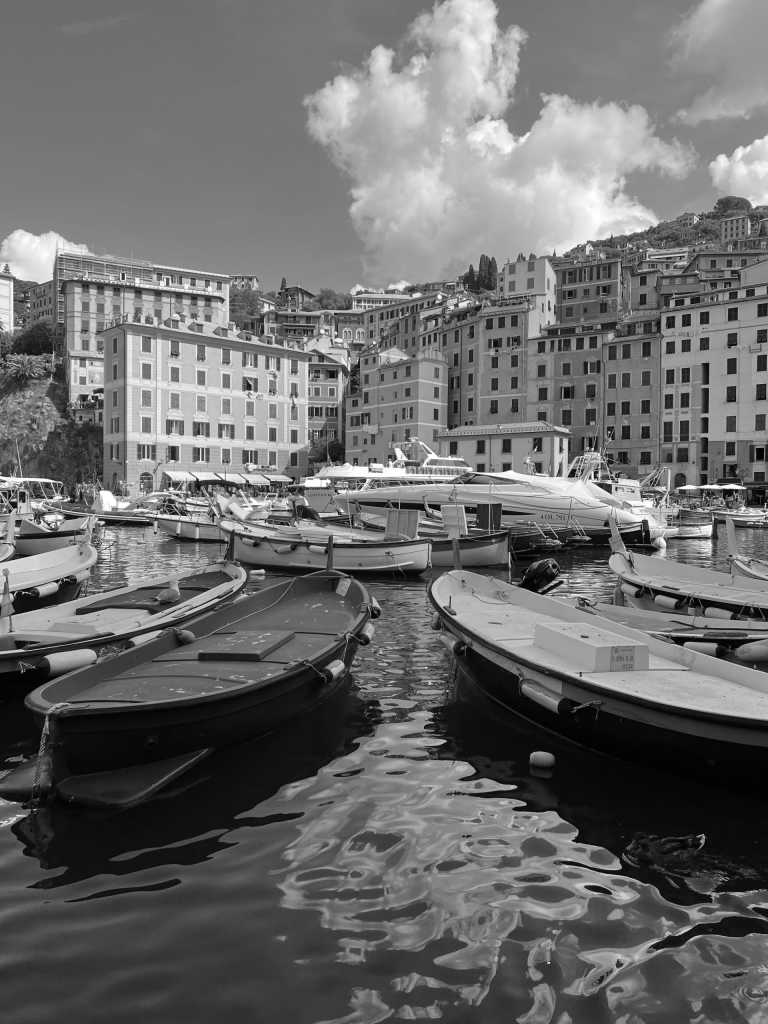 Italy - Camogli - Ladies! Portofino, Cinque Terre and Beyond with a Local, Italy