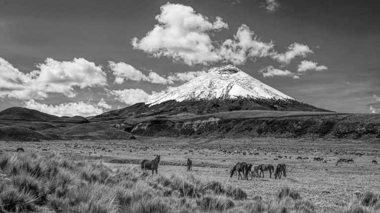 Ecuador - 12 Days Andes and Amazon Journey - JoinMyTrip