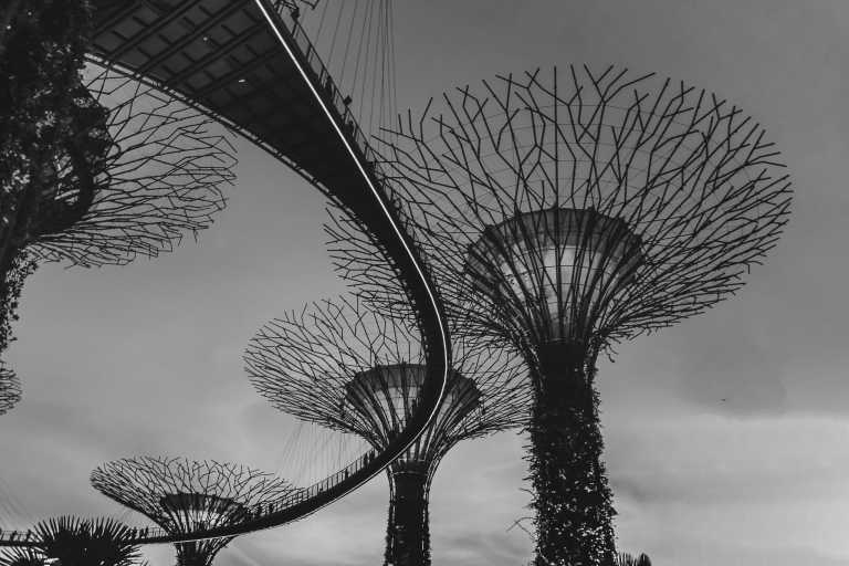 Singapore - Discover Singapore's Magic: Join Our Group Trip for Exhilarating Experiences! - JoinMyTrip