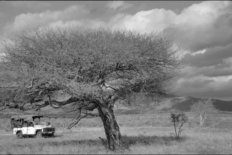 Kenya - SGR Terminus Nairobi - Enjoy a Short Safari on the footprints of Finch Hattons in Tsavo West National Park Kenya - 2
