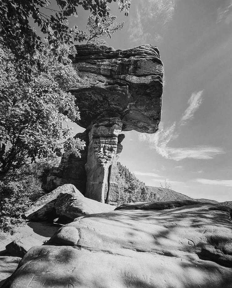 Germany - Fotosafari im Dahner Felsenland - JoinMyTrip