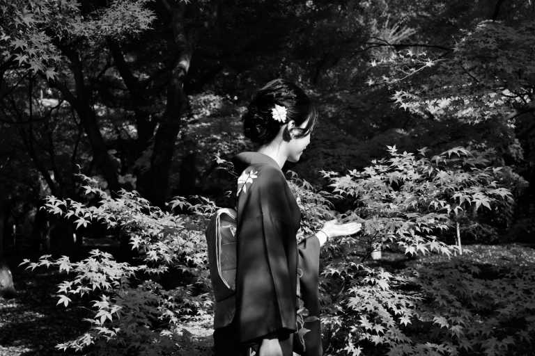 Japan - Osaka - Japan Trip - Visiting traditional and modern places in West area of Japan - 2