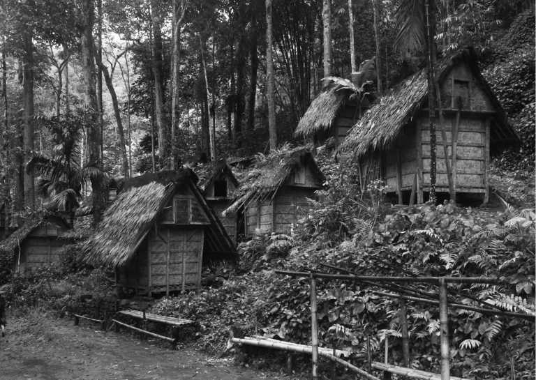 Indonesien - Reconnect with Nature and Traditional Life of Living in Baduy, Indonesia - JoinMyTrip