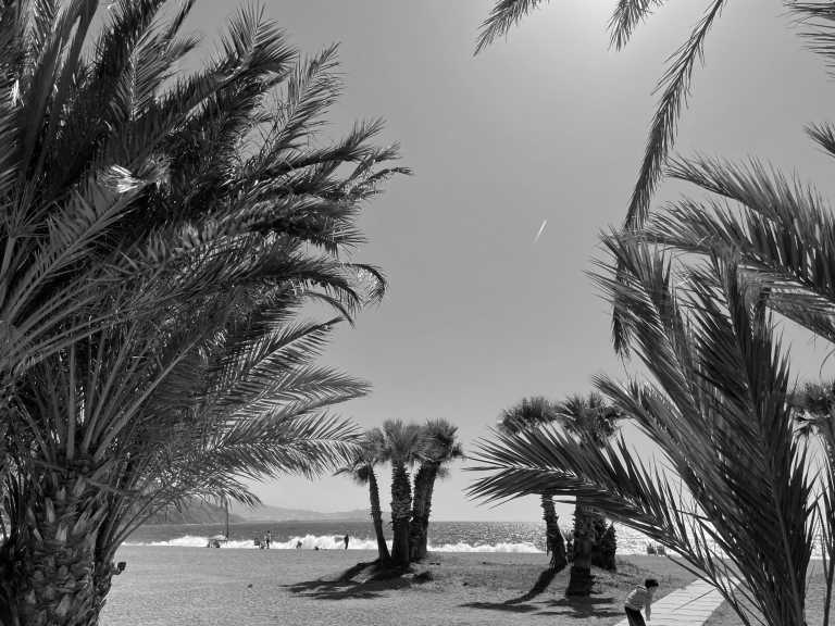 Spain - Workation und oder Vacation am Meer in Co-Living WG mit anderen Reisenden - JoinMyTrip