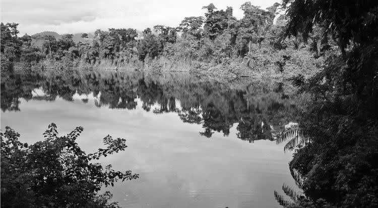 Cameroon - Debundscha - Discover Cameroon with a local. History, Culture, Food and much more! 🧗 - 1