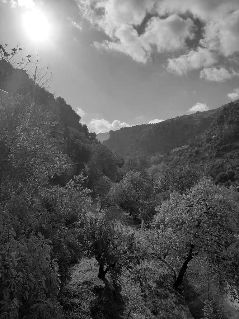 Libanon - Tannourine Cedar Reserve - Lebanon - 3 Days Mountain retreat: Hikes and more! - 2