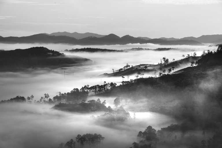 South-eastern Asia - Đà Lạt - Rundreise durch Vietnam und Kambodscha  - 2