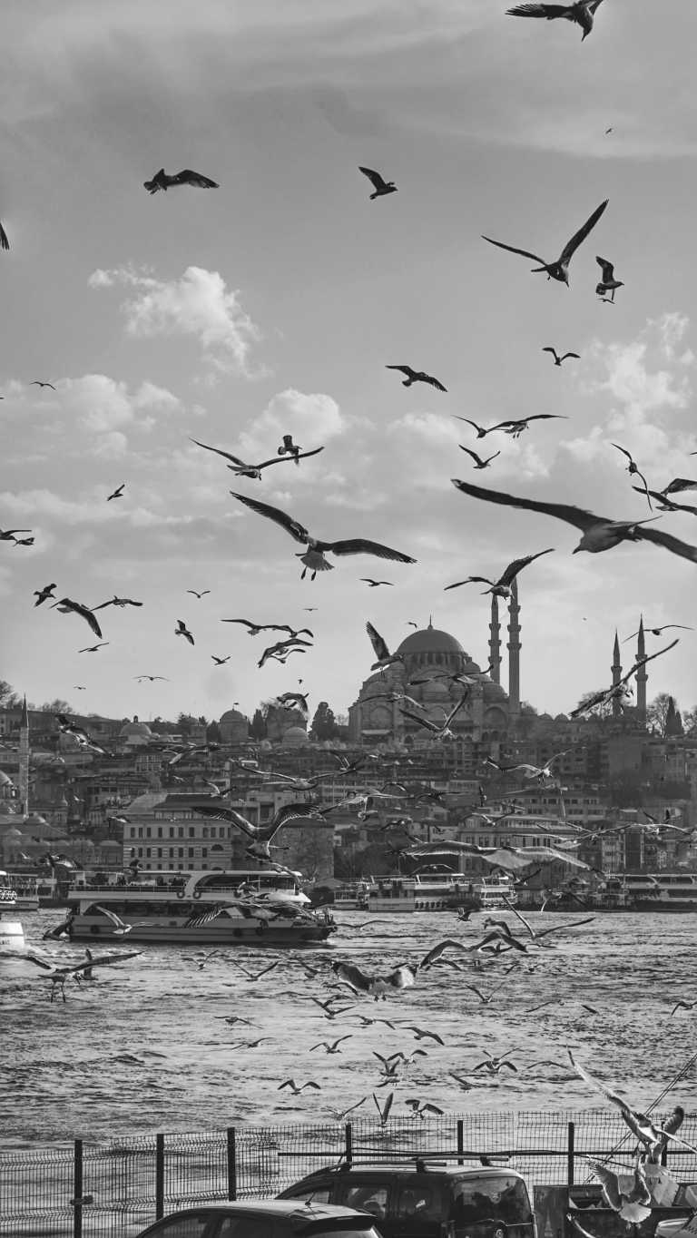 Turkey - Bosphorus Cruise Tours Istanbul - Istanbul in 48 Hours: A Weekend Exploration - 2