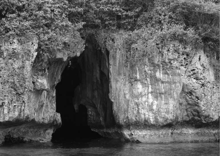 Mexico - Cave of Swallows - Travel with a local 😎 🇲🇽✨  Chapter : Rafting through Mexico's Stunning Rivers, Experience Enchanting Waterfalls, Huasteca Potosina!