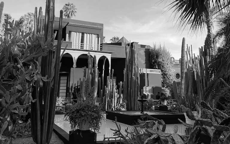 Morocco - Jardin Majorelle - Explore Marrakech Meknes and Fes with a Local - 2