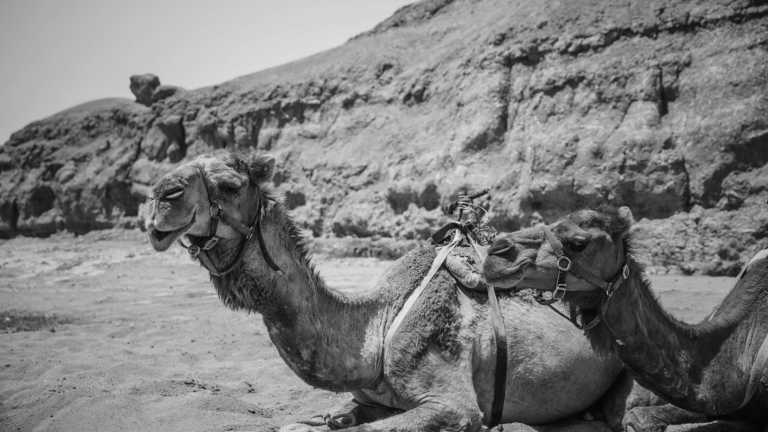 Morocco - MOROCCAN NEW YEAR’S EVE 🎇: Explore Marrakech, Sleep in the Desert, Discover Essaouira, Ride a Quad and so much more! - JoinMyTrip