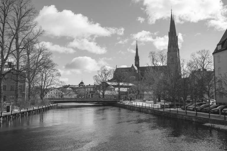 Sweden - Uppsala - Dog Sledding Tour in Sweden - Huskies, Northern Lights and Wilderness