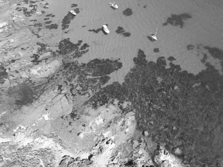 France - Mitsegeln in Frankreich - Cote d´Azur - JoinMyTrip