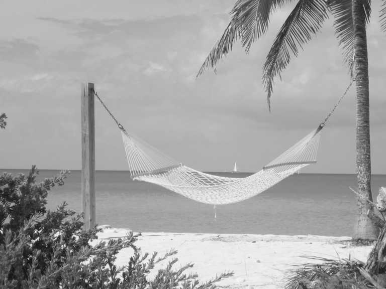 Bahamas - Wellness Retreat in Exuma, Bahamas ☀️🌊 Yoga, Journaling and Meditation! - JoinMyTrip