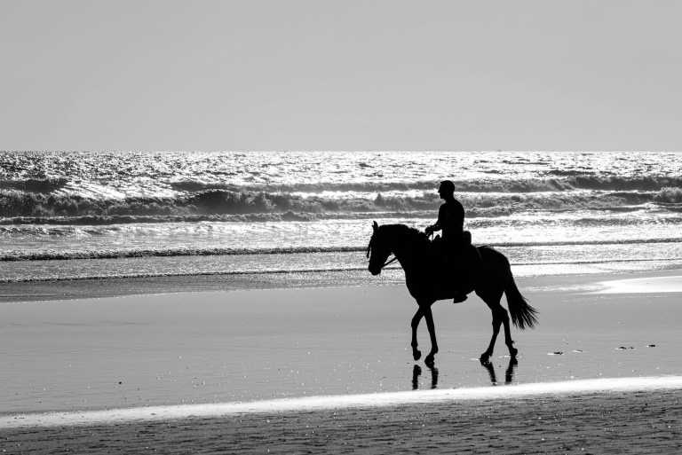 Spain - Spain Andalusia Horseback and Culinary Adventures - JoinMyTrip