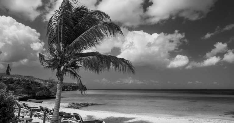 Mexico - Playa del Carmen - Nature Retreat in Mexico, Playa del Carmen 🇲🇽 Cleansing Ritual, Detox, Culture, Food and more! 🌴