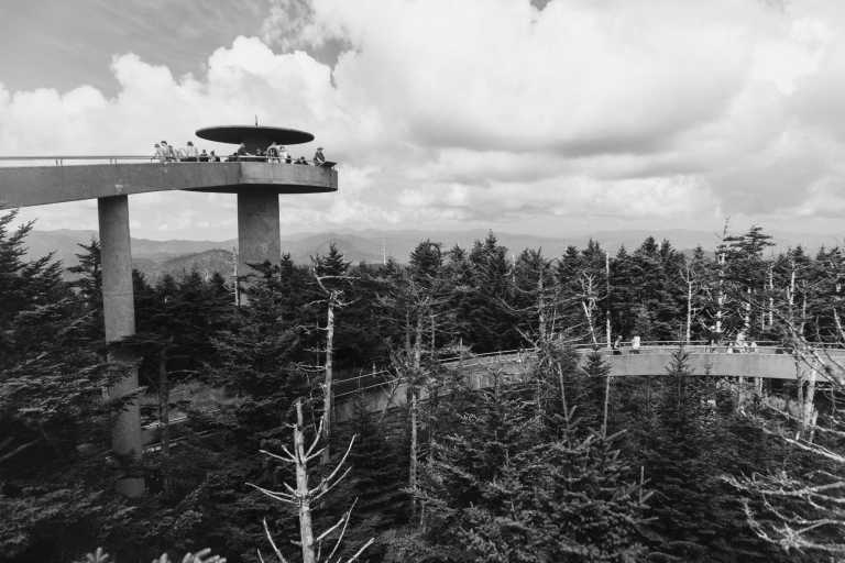 Vereinigte Staaten - USA Road Trip - Spring Rhododendrons in Blue Ridge parkway and Great Smoky Mountains, tunnels and waterfalls! - JoinMyTrip