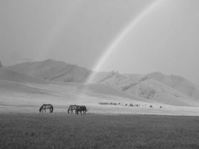 Mongolei - Reit-Abenteuer in der Mongolei - With Horses Through Mongolia 2 - JoinMyTrip