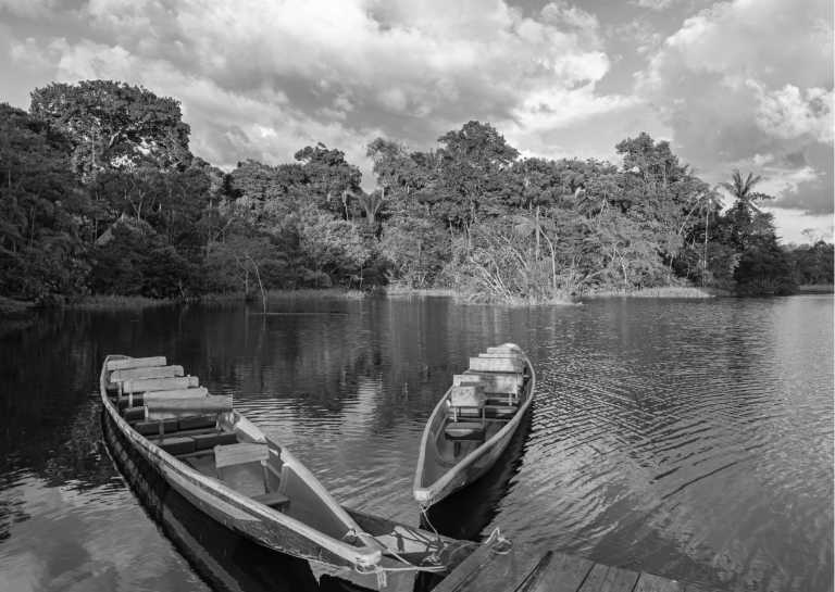 Brazil - Amazon Expedition: 14-day Immersion in Nature and the Riverside Communities of the Amazon. - JoinMyTrip
