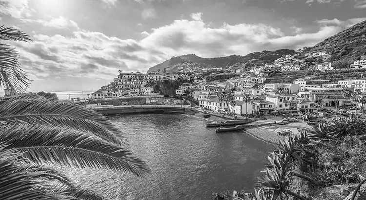 Portugal - Funchal - Discover the Magic of Madeira Island - 4