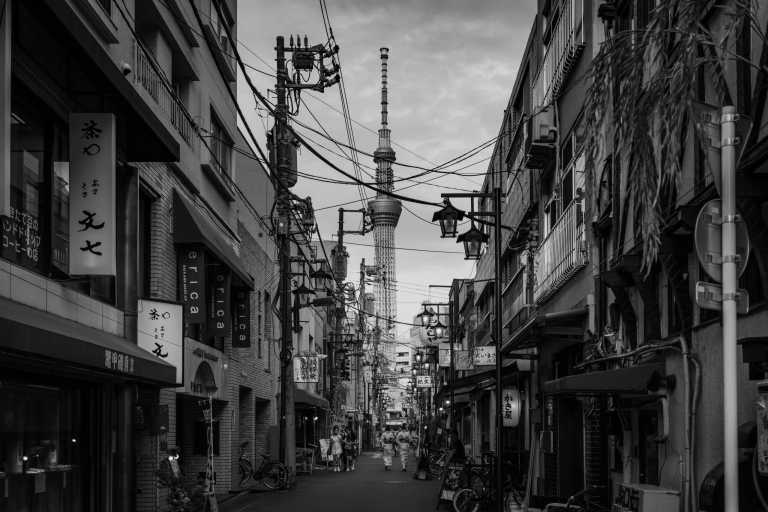 Japan - Tokyo - Rising Sun Odyssey: Exploring Japan's Timeless Charms 🎋 Tokyo🗼Fuji 🗻 Kyoto 🎎 Nara 🦌 Osaka 🏯 Hiroshima - 1