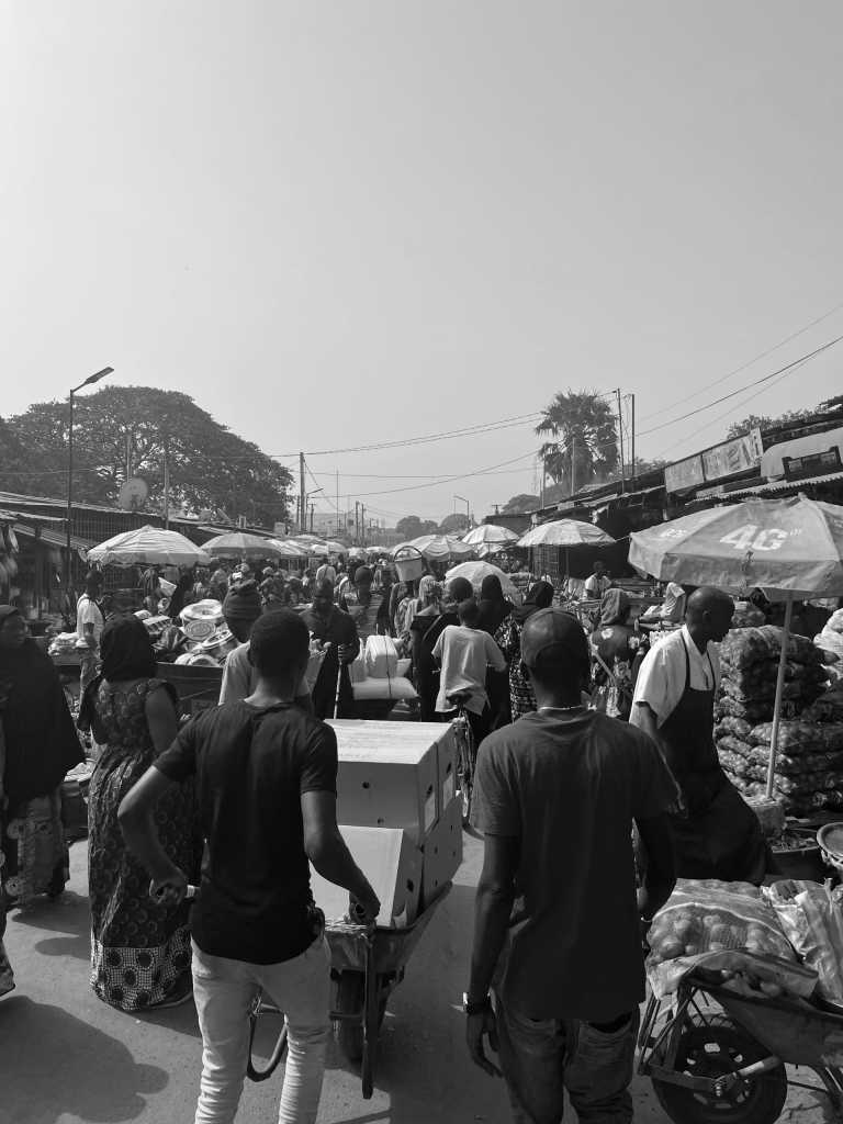 Gambia - Kotu - Feel The Gambia 🇬🇲 An authentic Adventure Trip - 2