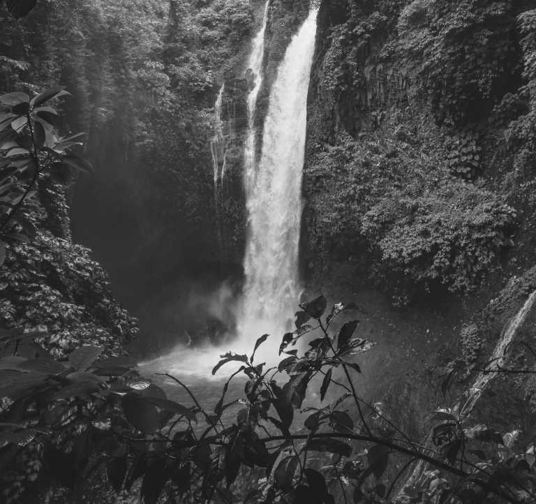 Costa Rica - Guapiles - Explore the Caribbean coast of Costa Rica with a Local! Just for adventurers
