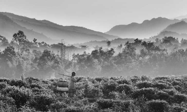 Bangladesch - Essence of Bangladesh: Exploring Sylhet’s Beauty - JoinMyTrip