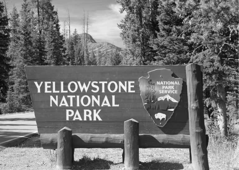 United States - Explore the Wonders of Yellowstone: Guided Trip in the USA's Iconic National Park - JoinMyTrip