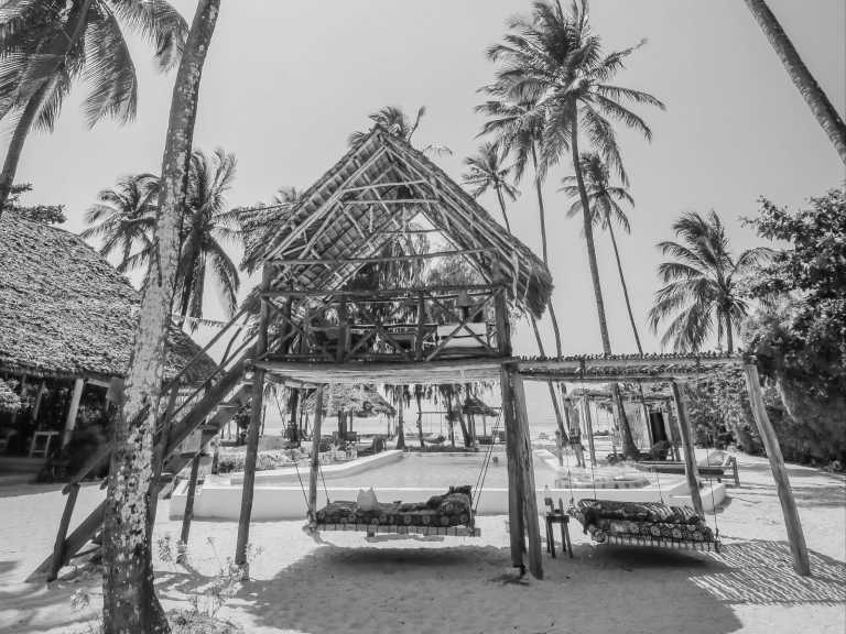 Tanzania - New Teddy's on the Beach - Exploring the Enchanting Beauty of Zanzibar, Tanzania: A Captivating Travel Destination
