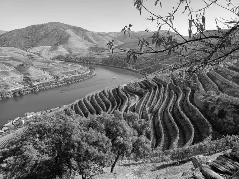 Portugal - Porto and Douro, Portugal: Where Port Wine was Born - JoinMyTrip